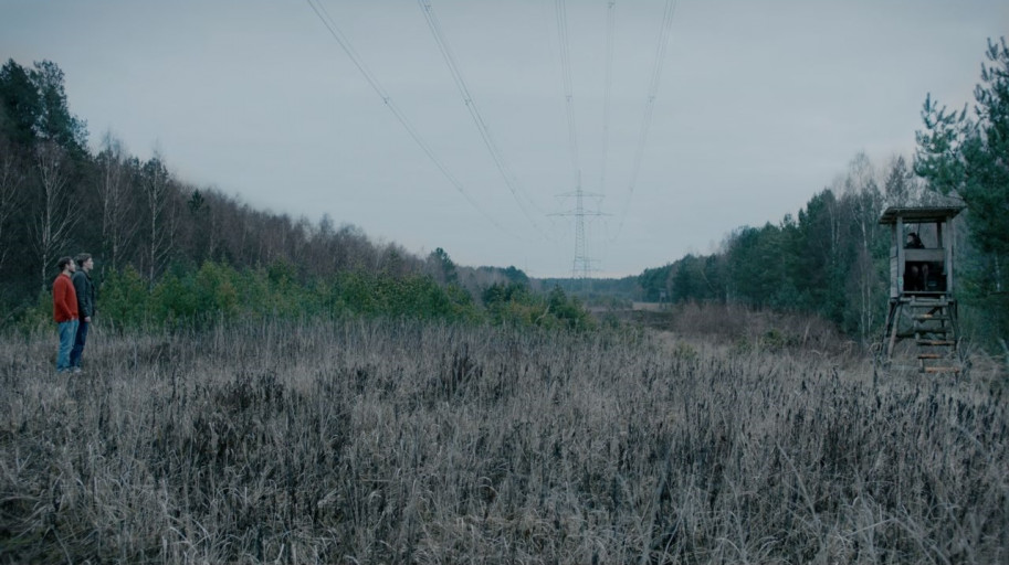 Rushes