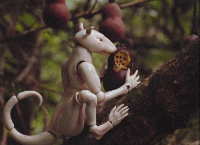 Winter in the Rainforest